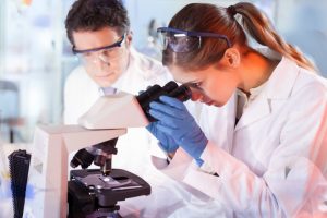 Two scientists working in a laboratory.